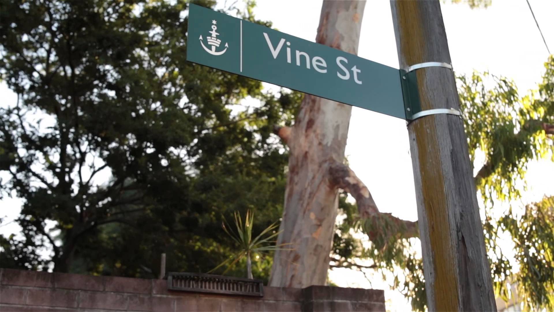 Vine St Chapter II